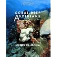 Coral reef ascidians of New Caledonia (Collection Faune tropicale) by  Claude Monniot