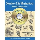 Seashore Life Illustrations (Dover Electronic Clip Art Series) (Book and CD-ROM) by  Dover