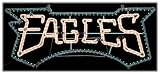 Philadelphia Eagles Yard Lights