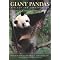 For Panda Fanatics