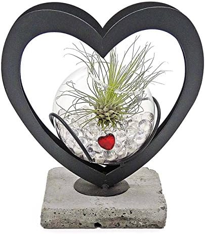 Luludi Living Art Duet