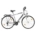 Texo Herren Fahrrad Trekking Alu, 21 Gang, stratosilber, Rahmenh�he: 53 cm, Reifengr��e: 28 Zoll (71,1 cm), 21110-0948275