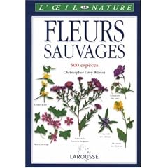 Fleurs sauvages