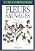 Flaurs sauvages