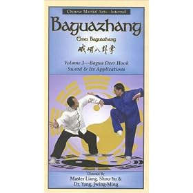 Baguazhang 3 - Bagua Deer Hook Sword and Its Applications