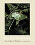The Color of Wildness: A Retrospective, 1936-1985