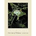 The Color of Wildness: A Retrospective, 1936-1985