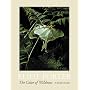The Color of Wildness: A Retrospective, 1936-1985
