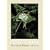 The Color of Wildness: A Retrospective, 1936-1985