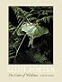 The Color of Wildness: A Retrospective, 1936-1985