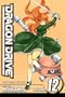 Dragon Drive, Vol. 12