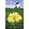 Teen reads I wanna read this summer..(Part 5)