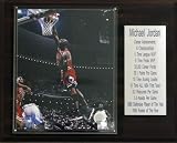 NBA Michael Jordan Chicago Bulls Stat Plaque