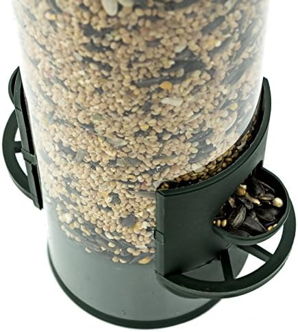 Wild Bird Feeder - Panorama - Green