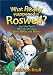 What Really Happened in Roswell?: Just the Facts (Plus the Rumors) About Ufos and Aliens