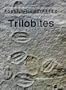 Trilobites (Fossils Illustrated)