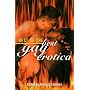 Best of the Best Gay Erotica