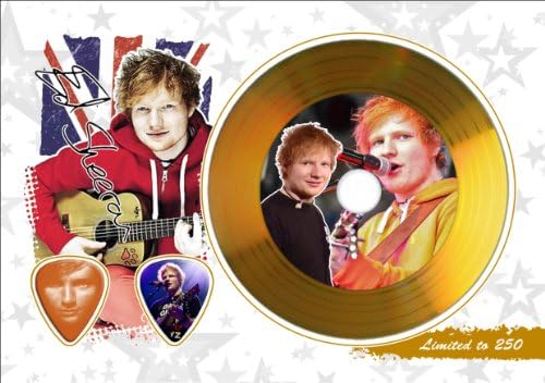 Ed Sheeran Gold Disc Display With Guitar Picks