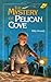 The Mystery of Pelican Cove