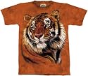 Power & Grace T-shirt 100% Cotton KIDS - TEENS and ADULTS Short Sleeve Shirt
