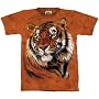 Power and Grace T-Shirt, Available in Various Sizes