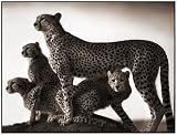 On This Earth: Photographs from East Africa 画像