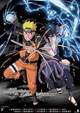 NARUTO-�Ŏَ�-��������B�� 2012ǯ���ڎݎ��ގ�