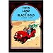 All 24 Adventures of Tintin (hardcovers)