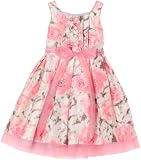 Sweet Heart Rose Girls 2-6x Sweet Heart Rose Printed Dress