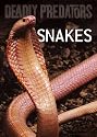 Deadly Predators - Snakes [DVD]