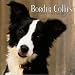 Book Border Collies 2004 Calendar