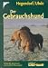 Der Gebrauchshund. Haltung, Ausbildung und Zucht