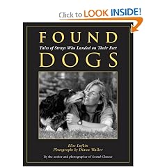 Found Dogs: Tales of Strays Who Landed on Their Feet