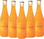 Boylan Bottleworks 12 oz. Orange Cream 12pack