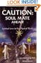 Caution Soul Mate Ahead! : Spiritual Love in the Physical World