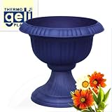 Eigenschaften   / Blumenspindel blau