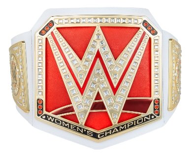 WWE Women s World Championship Toy Title Belt