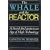 The Whale and the Reactor: A Search for Limits in an Age of High Technology
