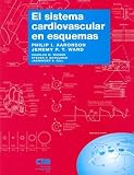 El Sistema Cardiovascular En Esquemas
