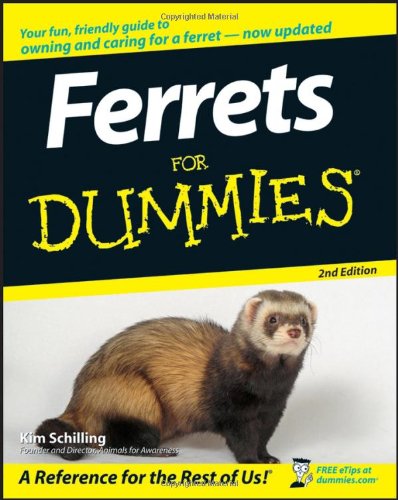 ferret care