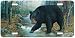 Bearly Wading - Bear Art Print - License Plate by Randy McGovern from Airstrike, Inc.