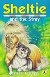 Sheltie and the stray