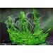 Revell 05433 - Modellbausatz Geisterschiff mit Nachtleuchtfarbe 1:72