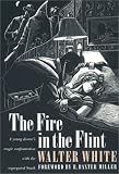 The Fire in the Flint (Brown Thrasher Books)