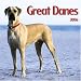 Great Danes 2006 Calendar