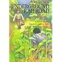 Allen Jay and the Underground Railroad (On My Own)