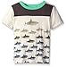 Charlie Rocket Boys' Short Sleeve Color Block Graphic Tee