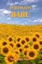 Indonesian New Testament-FL-Easy-To-Read