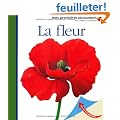 La fleur