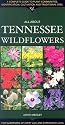 All about Tennessee Wildflowers